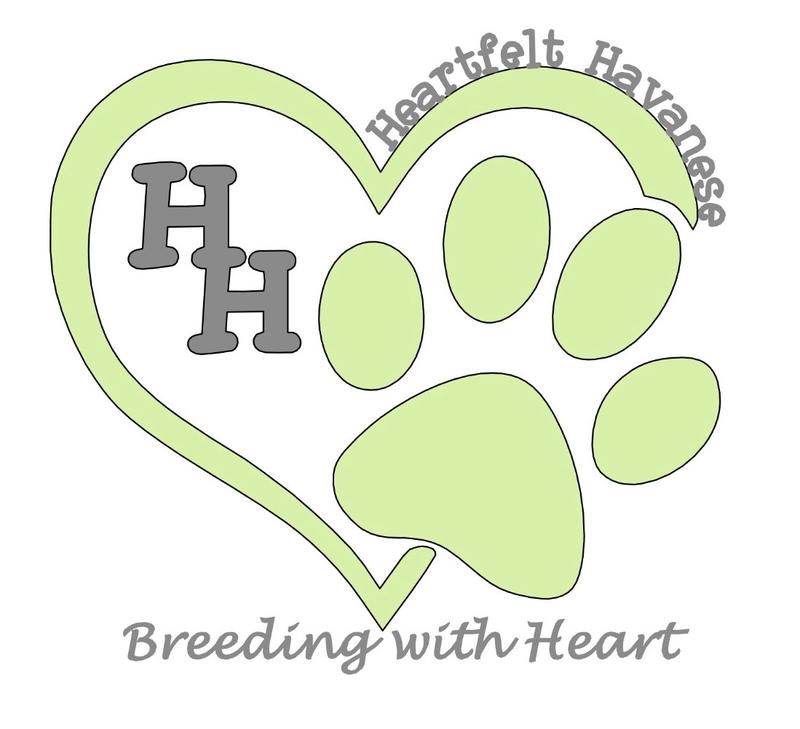 Heartfelt Havanese Logo