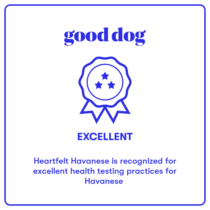Good Dog - Excellent Rating Logo