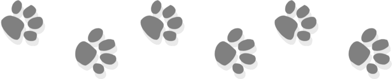 Paw Print Decorations