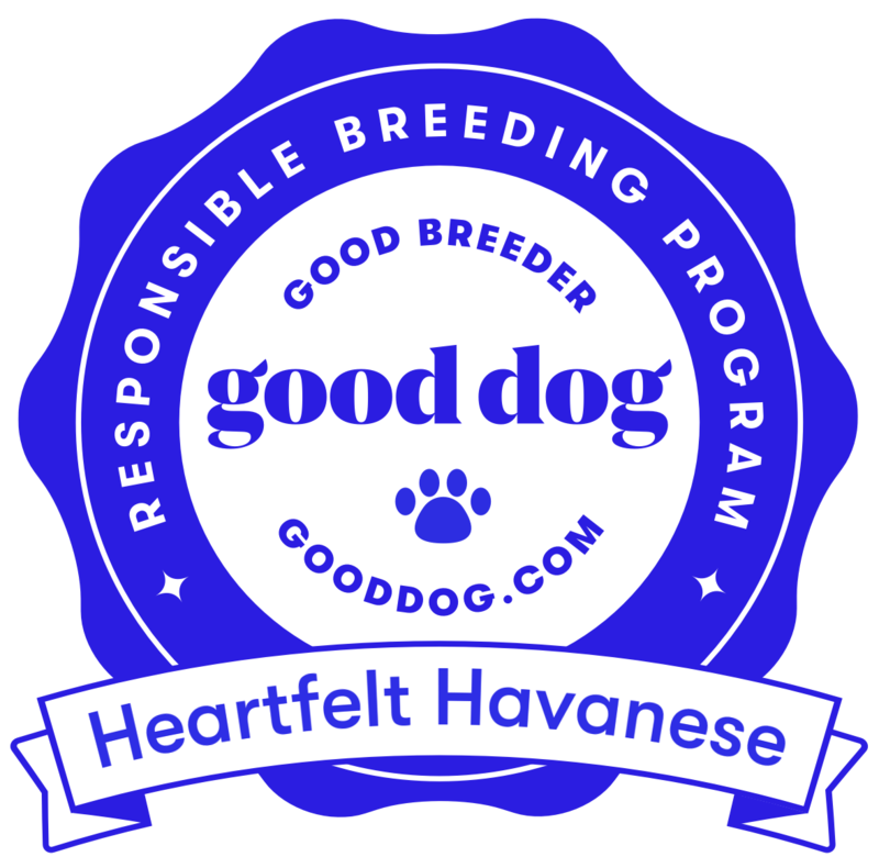 Good Dog Logo